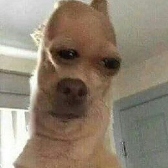 Meet your Posher, Tim - Picture 1 of 1